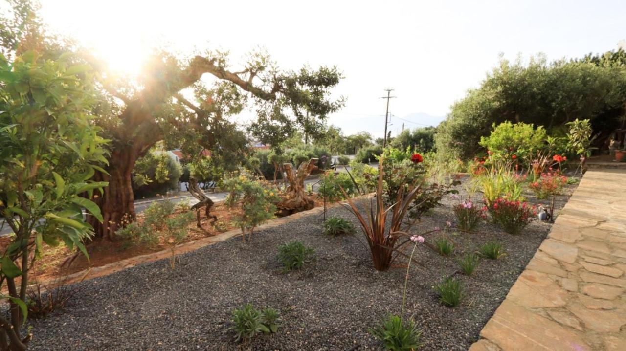 Havania Comfortable Apartment With Garden - Casa Con Vista מראה חיצוני תמונה