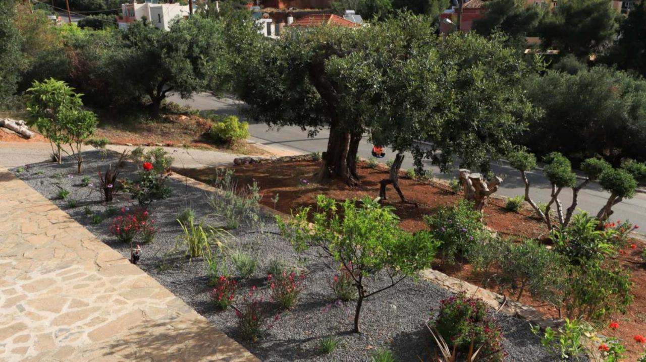 Havania Comfortable Apartment With Garden - Casa Con Vista מראה חיצוני תמונה