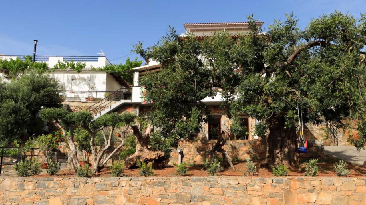 Havania Comfortable Apartment With Garden - Casa Con Vista מראה חיצוני תמונה