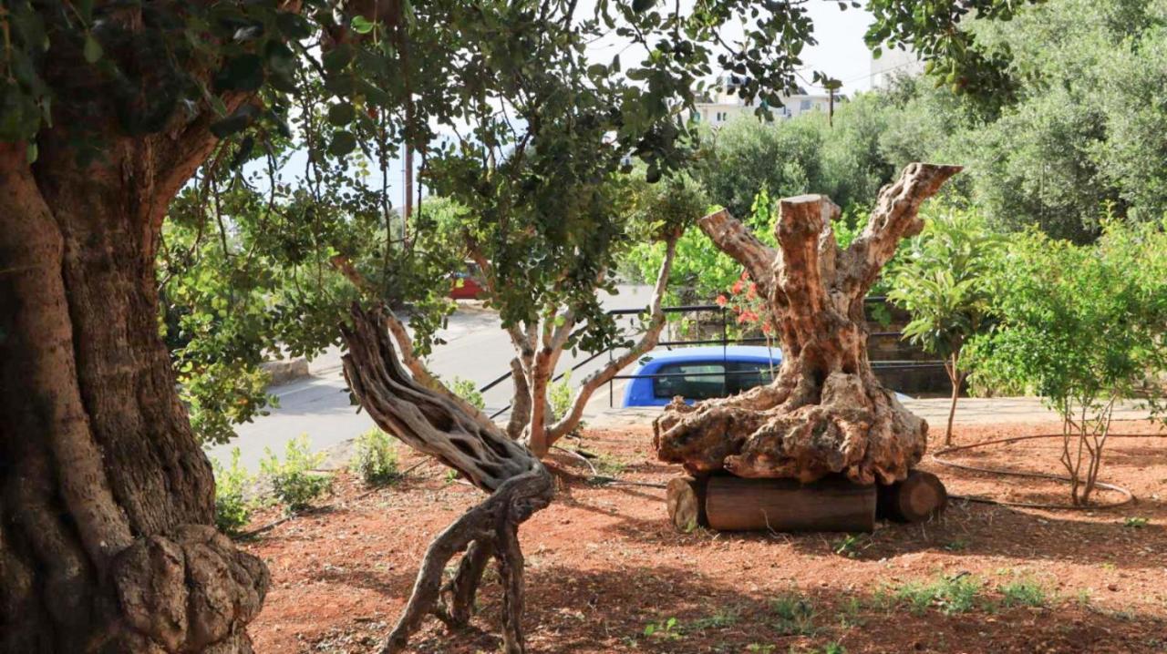 Havania Comfortable Apartment With Garden - Casa Con Vista מראה חיצוני תמונה